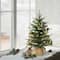2ft. Pre-Lit Artificial Christmas Tree with Pine Cones in Burlap Sack, Warm White LED Lights